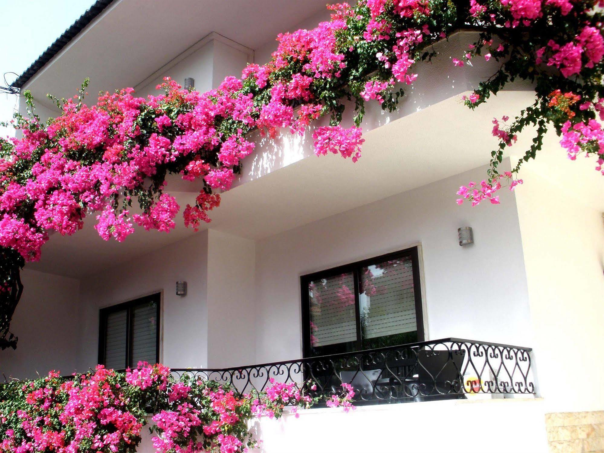 Dolce Cascais Guest House Kültér fotó